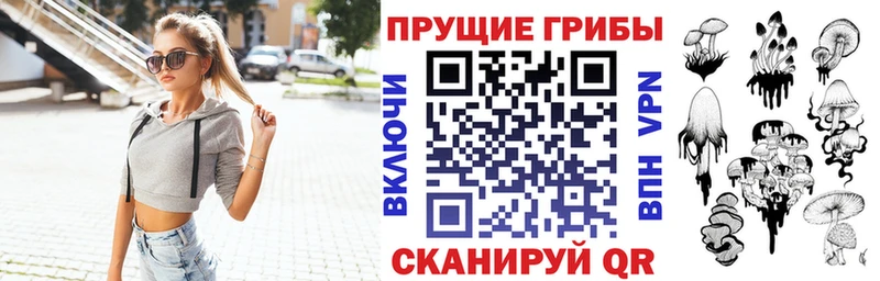 Купить где  Конаково  Галлюциногенные грибы Cubensis 